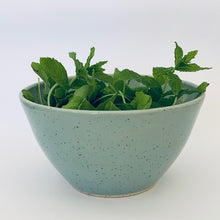 Load image into Gallery viewer, Bowl Robin-egg light speckle