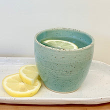 Load image into Gallery viewer, Tumbler: Speckled Robin-egg blue.